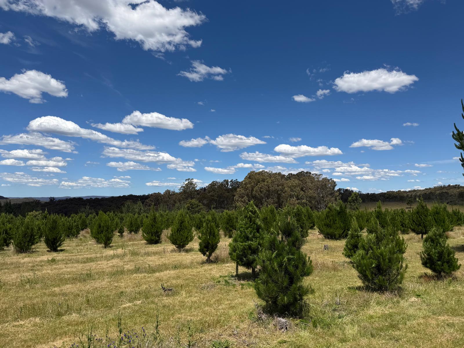 Stay With Motocross - Whispering Pines Lodge